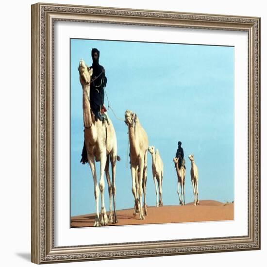 Mali Tribesman Sits on Camel, 1987-null-Framed Photographic Print