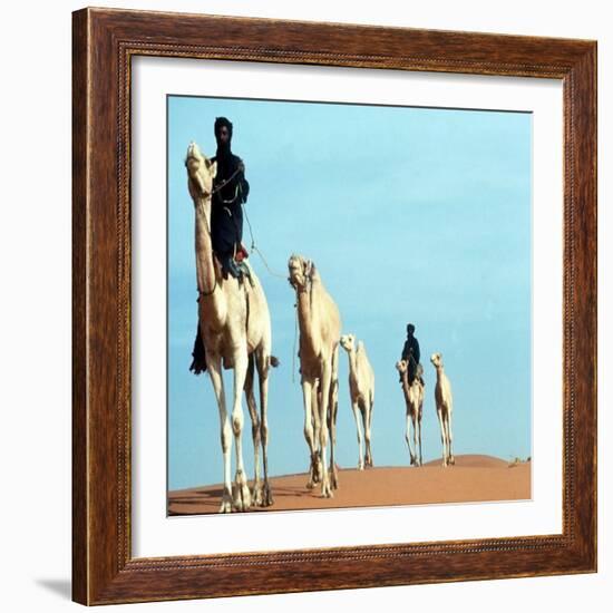 Mali Tribesman Sits on Camel, 1987-null-Framed Photographic Print