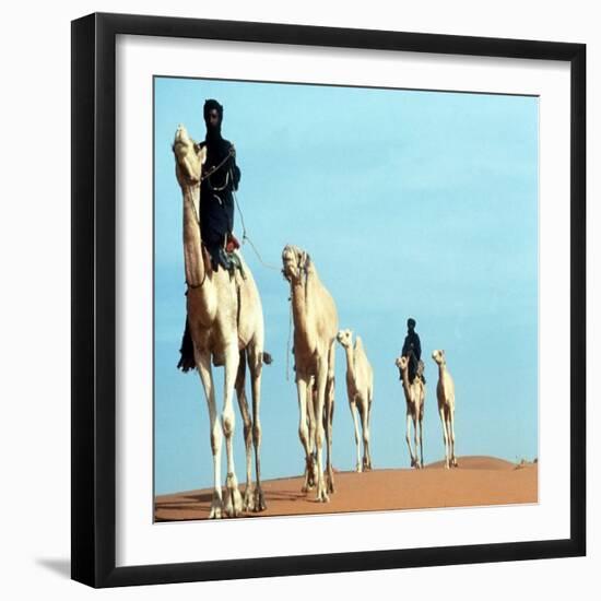 Mali Tribesman Sits on Camel, 1987-null-Framed Photographic Print