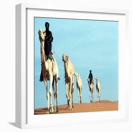 Mali Tribesman Sits on Camel, 1987-null-Framed Photographic Print