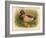 Mallard (Anas boschas), 1900, (1900)-Charles Whymper-Framed Giclee Print