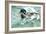 Mallard, Anas Platyrhynchos, Erpel-Reiner Bernhardt-Framed Photographic Print