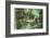 Mallard, Anas platyrhynchos, fledglings, water, sidewise, swim-David & Micha Sheldon-Framed Photographic Print