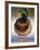 Mallard Drake Portrait Standing on Ice, Highlands, Scotland, UK-Pete Cairns-Framed Photographic Print