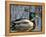 Mallard Duck Drake (Anas Platyrynchos) Spain-Juan Manuel Borrero-Framed Premier Image Canvas