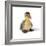 Mallard Duck Duckling at 24 Hours-null-Framed Photographic Print