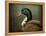 Mallard Duck Portrait-Jai Johnson-Framed Premier Image Canvas