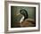 Mallard Duck Portrait-Jai Johnson-Framed Giclee Print