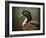 Mallard Duck Portrait-Jai Johnson-Framed Giclee Print