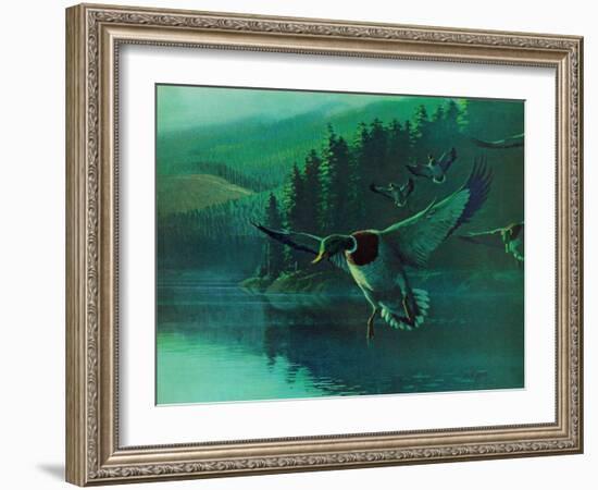 Mallard Duck-Stan Galli-Framed Giclee Print