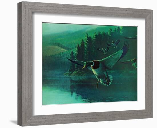 Mallard Duck-Stan Galli-Framed Giclee Print