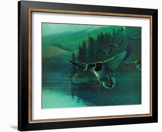 Mallard Duck-Stan Galli-Framed Giclee Print