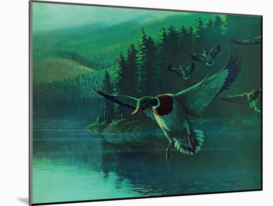 Mallard Duck-Stan Galli-Mounted Giclee Print