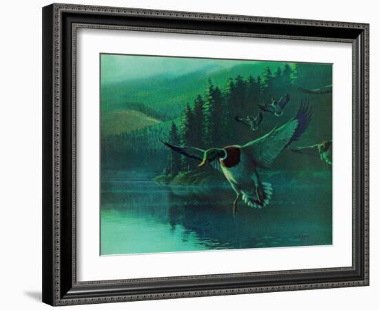 Mallard Duck-Stan Galli-Framed Giclee Print