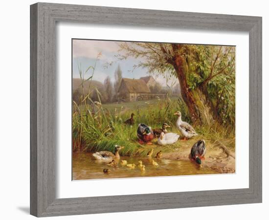 Mallard Ducks with their Ducklings-Carl Jutz-Framed Giclee Print