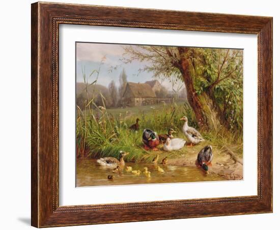 Mallard Ducks with their Ducklings-Carl Jutz-Framed Giclee Print