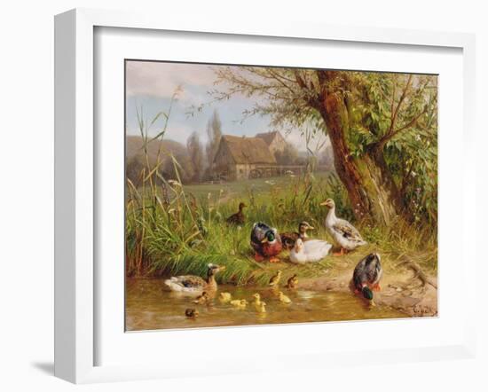 Mallard Ducks with their Ducklings-Carl Jutz-Framed Giclee Print