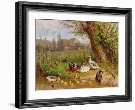 Mallard Ducks with their Ducklings-Carl Jutz-Framed Giclee Print