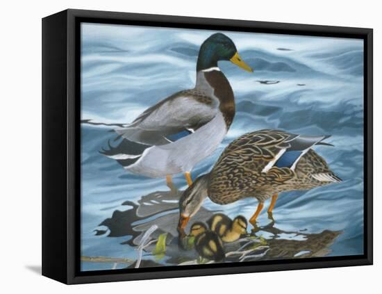 Mallard Family-Rusty Frentner-Framed Premier Image Canvas