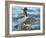 Mallard Family-Rusty Frentner-Framed Giclee Print