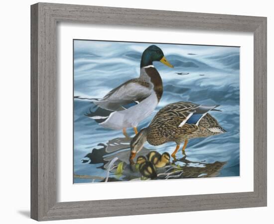 Mallard Family-Rusty Frentner-Framed Giclee Print