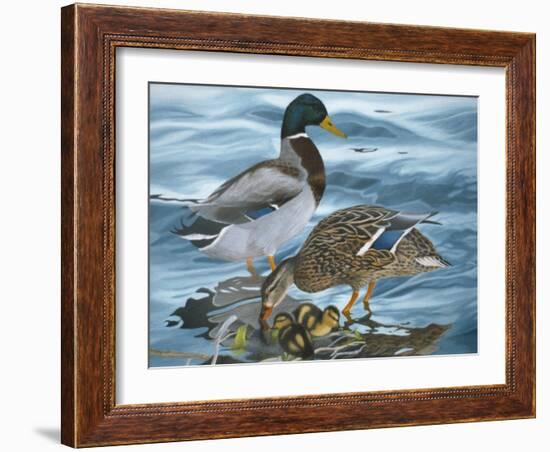 Mallard Family-Rusty Frentner-Framed Giclee Print