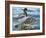 Mallard Family-Rusty Frentner-Framed Giclee Print