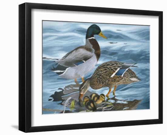 Mallard Family-Rusty Frentner-Framed Giclee Print