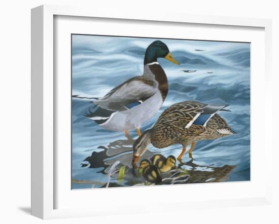 Mallard Family-Rusty Frentner-Framed Giclee Print