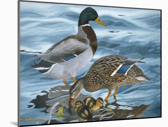 Mallard Family-Rusty Frentner-Mounted Giclee Print