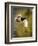 Mallard Flight I-Tyler Stockton-Framed Premium Photographic Print