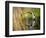 Mallard Flight III-Tyler Stockton-Framed Photographic Print