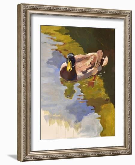 Mallard in Shallows-Jeri Ireland-Framed Art Print