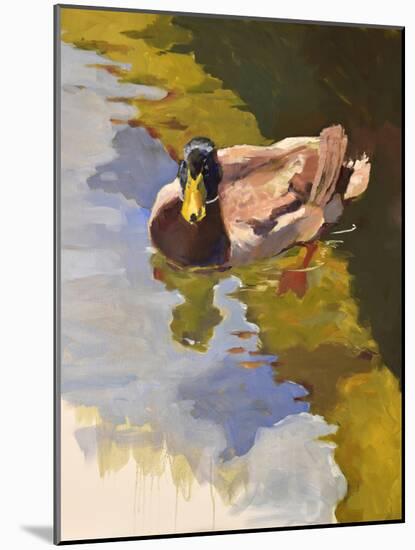 Mallard in Shallows-Jeri Ireland-Mounted Art Print