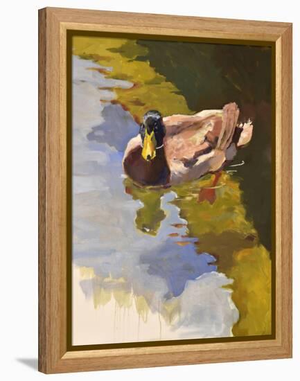 Mallard in Shallows-Jeri Ireland-Framed Stretched Canvas