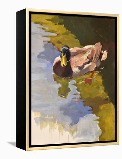 Mallard in Shallows-Jeri Ireland-Framed Stretched Canvas