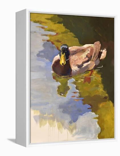 Mallard in Shallows-Jeri Ireland-Framed Stretched Canvas