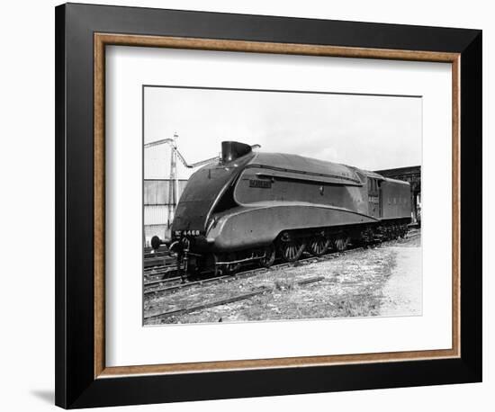 Mallard Locomotive-null-Framed Photographic Print