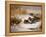 Mallard Widgeon and Snipe at the Edge of a Pool in Winter-Archibald Thorburn-Framed Premier Image Canvas