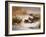 Mallard Widgeon and Snipe at the Edge of a Pool in Winter-Archibald Thorburn-Framed Giclee Print