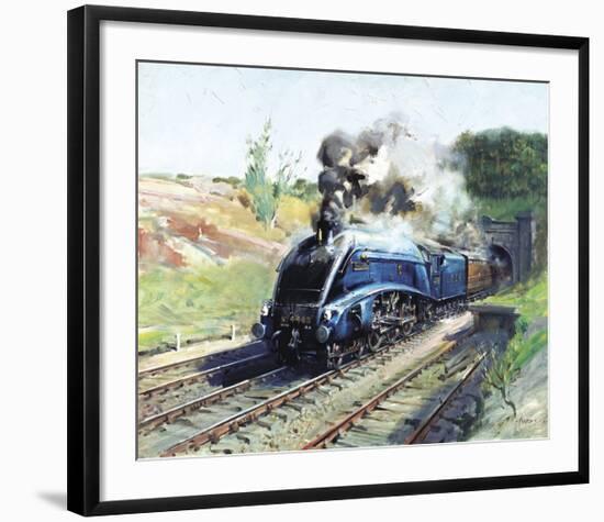 Mallard-Terence Cuneo-Framed Premium Giclee Print