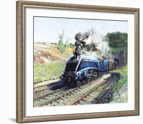 Mallard-Terence Cuneo-Framed Premium Giclee Print