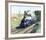 Mallard-Terence Cuneo-Framed Premium Giclee Print