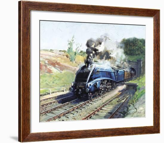 Mallard-Terence Cuneo-Framed Premium Giclee Print