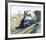 Mallard-Terence Cuneo-Framed Premium Giclee Print