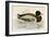 Mallard-Beverley R. Morris-Framed Giclee Print