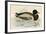 Mallard-Beverley R. Morris-Framed Giclee Print