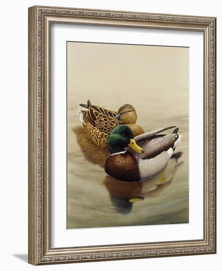 Mallard-Harro Maass-Framed Giclee Print