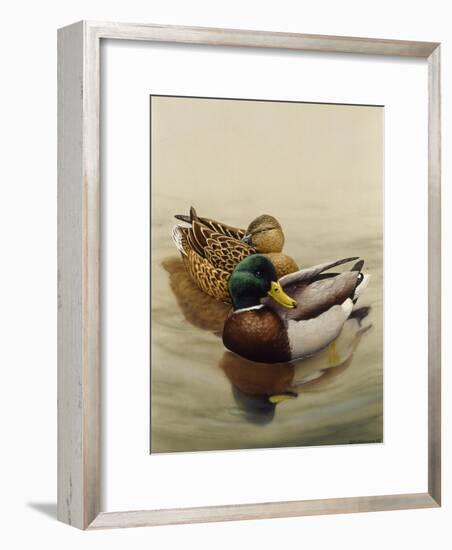 Mallard-Harro Maass-Framed Giclee Print