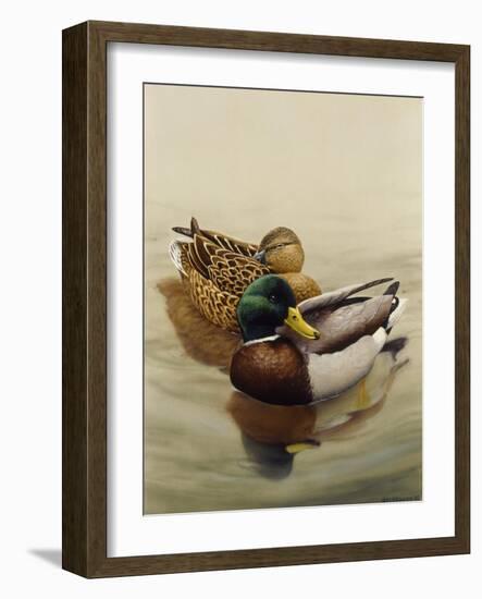 Mallard-Harro Maass-Framed Giclee Print